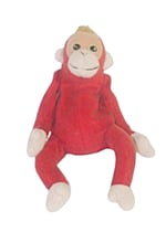 Koko Pasta Done-1 Koko Pasta Done-1