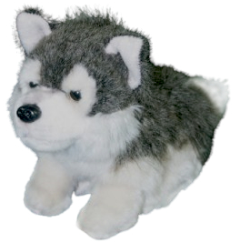 Windy-done Windy-done